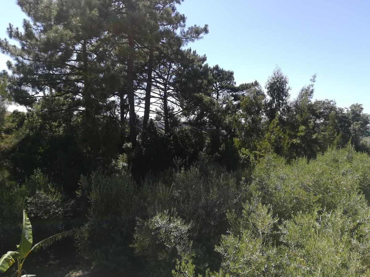 Quinta Vale Real Alcobaca Exterior photo
