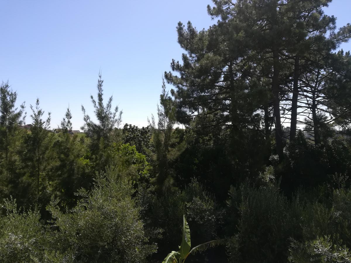 Quinta Vale Real Alcobaca Exterior photo