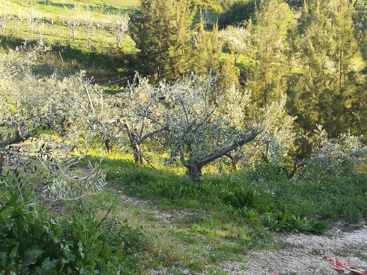 Quinta Vale Real Alcobaca Exterior photo
