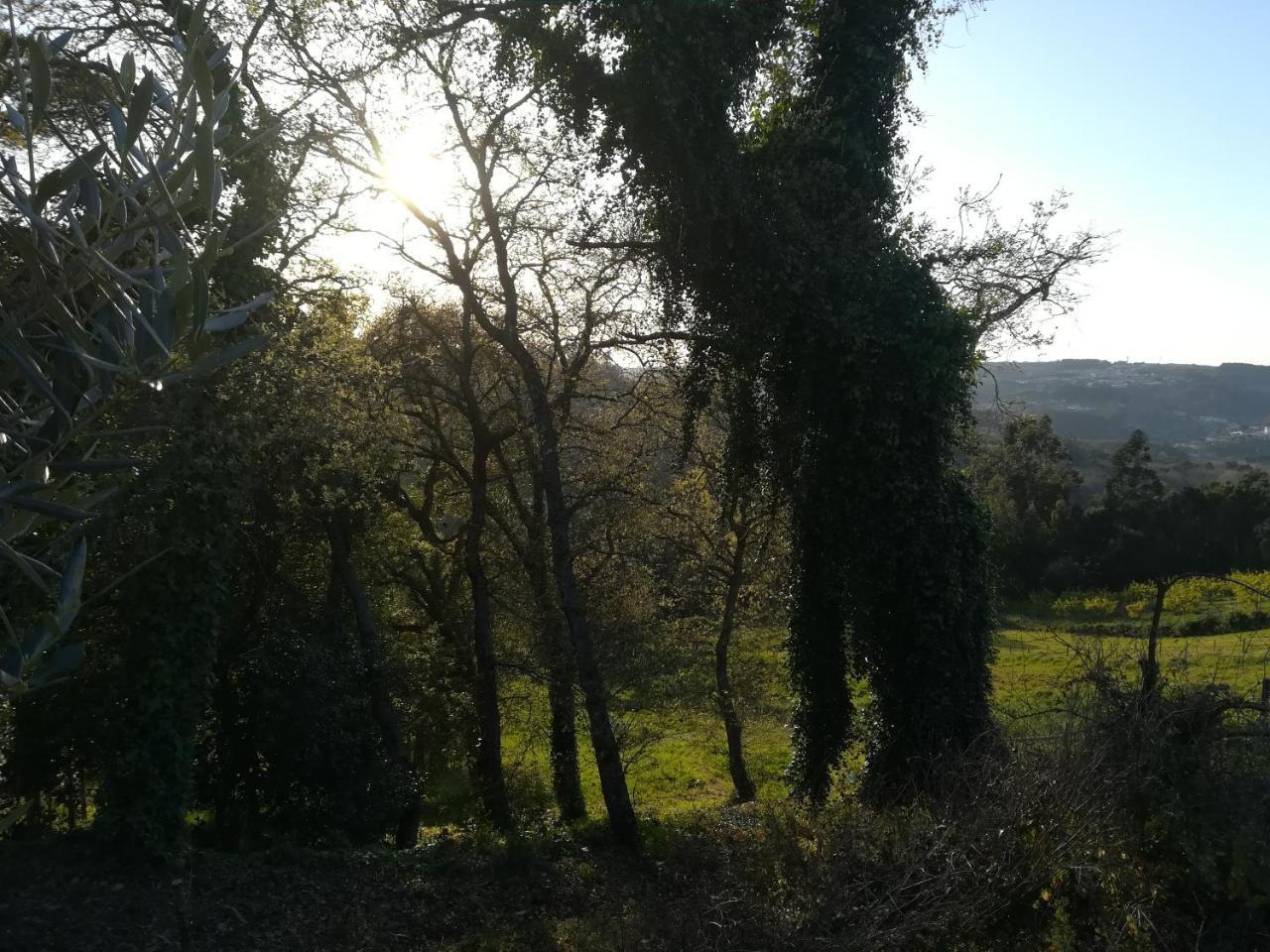 Quinta Vale Real Alcobaca Exterior photo